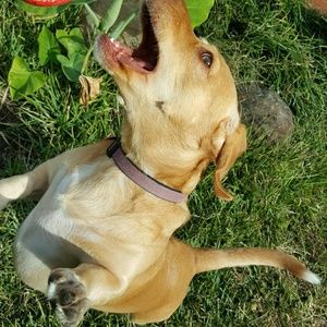 Meet your Posher, Maria